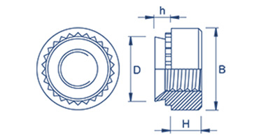 Clinch Nut Diagram